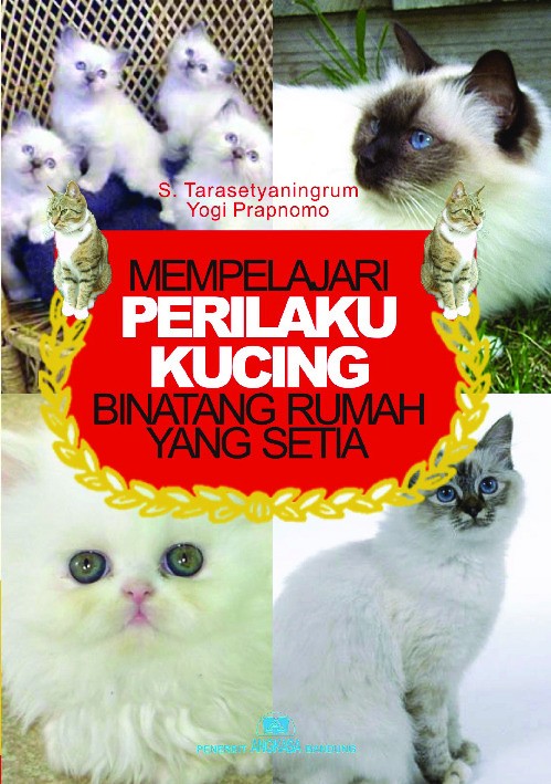 Mempelajari perilaku kucing binatang rumah yang setia
